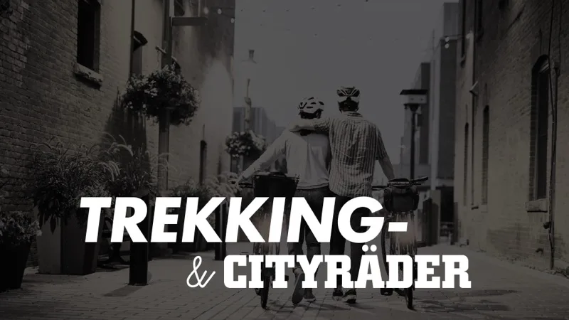 Bequeme Citybikes und Trekkingfahrräder in Cottbus