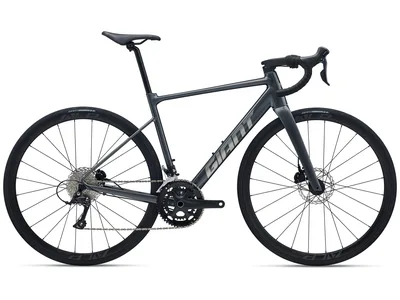 Contend SL 2