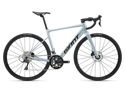 Contend SL 2